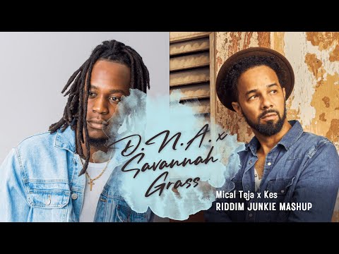 D.N.A. x Savannah Grass (Riddim Junkie Road Mashup)