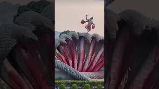 भगवान श्री कृष्णा का लीला स्थल वृंदावन #वृंदावन #वृंदावनधाम #वृंदावनलाइव