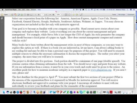 BUS 137 Final Project Instructions S17