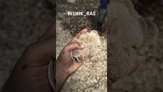 MBBR chamber/ Biofilter in RAS #aquaculture #fishfarming #fish#farm #farmer #ras #business #shorts