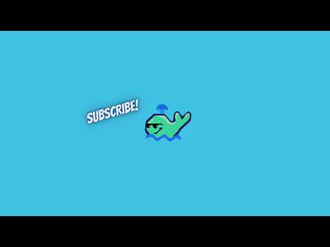 Pwhales Live Stream