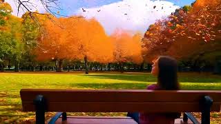 Soft Path 🍂 Lofi Anime Forest Walk