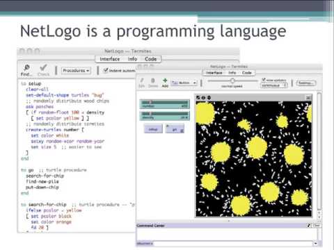 Agent Based Modeling