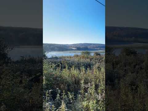 Morning Mist Rising Over Harwood Lake, Freedom, NY