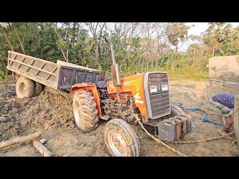 Tractor Stuck In Deep Mud | Two Tafe Tractor Stuck With Rescue Try | Tractor Q
