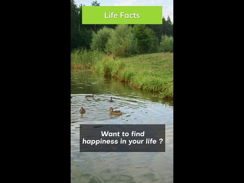 How To Find Happiness In Life ?