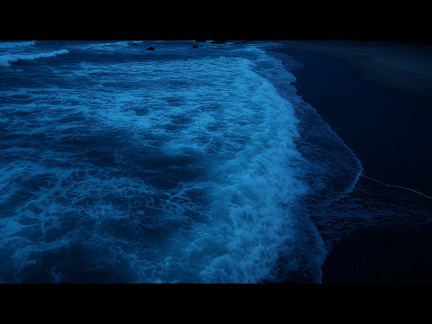 Rolling Waves and Ocean Breeze | Sleep, Study, Insomnia Relief | Beach Sounds 24 Hours