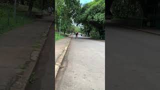 Treino no parque #caminhoparaumavidamelhor #beach #calistenia #corridalivre