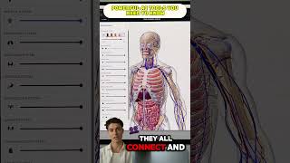 Powerful Websites You NEED to Know! 🤯💻 | Part 23