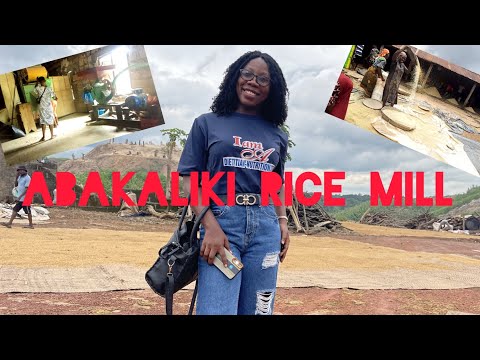 My Visit to Abakaliki Rice Mill in Ebonyi State | Ebonyi Market Survey Experience | Abakaliki Rice