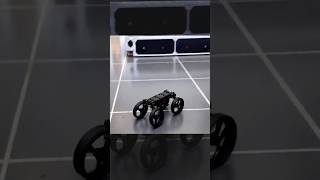 This Robot Moves Like a Real-Life Transformer! #robot #futuristictech #techinnovation #robotdesign