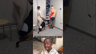 The Dogs Action #funnyshorts