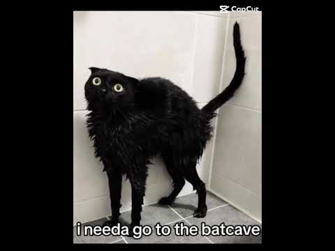 IM BATMAN
