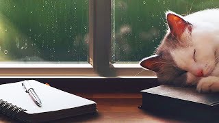 How to Write a Book in 4,019 Easy Steps