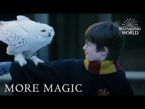 Harry Potter: The Ultimate Christmas Scenes | Christmas in the Wizarding World