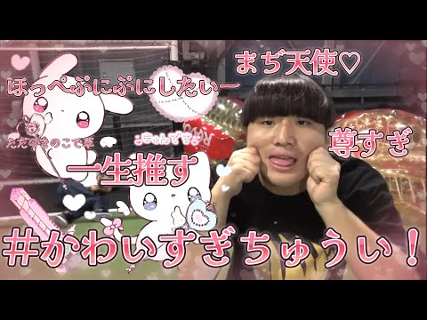 【作業用BGM】かわいいまも子集