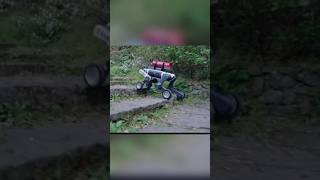 This Robot Dog Conquers Any Terrain! 🤖🐾#RobotDog #DeepRobotics #LinuxM20 #TechInnovation