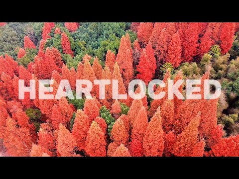 DJ Apollo Production – Heartlocked (Official Visualizer)