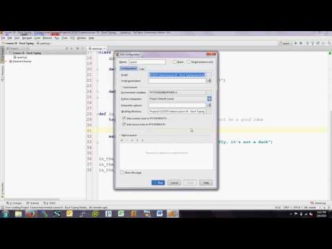 Lesson 2 Duck Typing