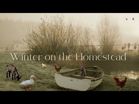 #11 Peaceful Countryside Vlog | Winter Garden Work, Refurbishing Grandpas Old Saw