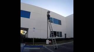 The Working Professional