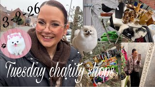 Dog groomers & charity shops 🏬 3 February 2026 @MrsPinkyCrazyBagLady  #vlog