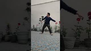 Code With Harry - Srivalli Dance😂 | #codewithharry #code #harry