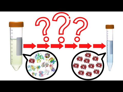 Creating Your Own Protein Purification Scheme | How To Purify Proteins With Different Methods