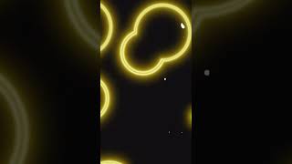 Can you answer all the questions?