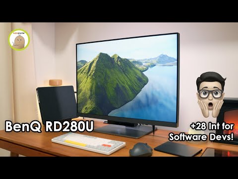 This monitor gave me +28 Int! (BenQ Programming Monitor RD280U)