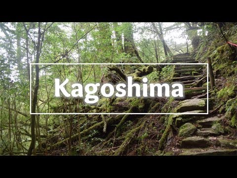 Kagoshima | New and Old Trees