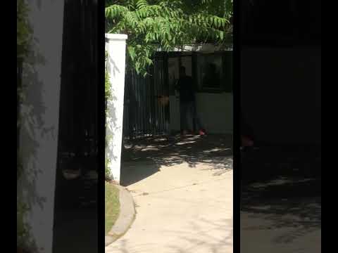 I love skateboarding #skateboarding #skate #easy #skater #skatelife #ollie #shorts #viralvideo