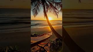 "Tropical Grooves  (18s Teaser)" by CHILLTROPICS  #tropicalchill #beachvibes #beach #sunset #sunrise