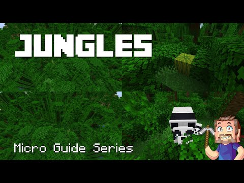 Jungle Biomes - Minecraft Micro Guide