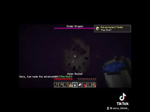 Minecraft End Shot on IPhone #Shorts