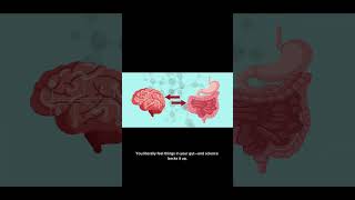 Human Body | “Your Stomach Has a Second Brain"