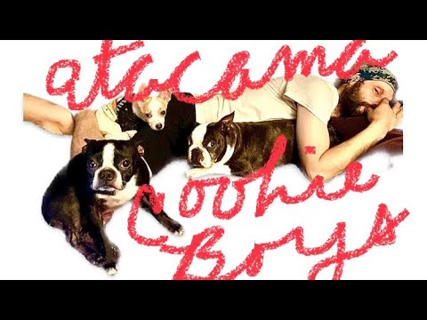 THE OFFICIAL “COOKIE BOYS” VIDEO.  2023