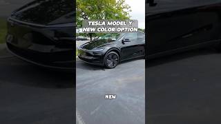 The NEW Diamond Black Tesla Model Y Will Steal Your Heart! 😍 #modely #modelyjuniper #tesla