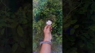 reel making idea with photos  #trending #viral #reels #viralreels #ideas #reelideas #cute #esthetic