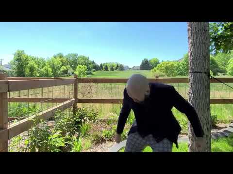 HOW IT FEELS TO CHEW RAYCON JADFSDHFOIDFHDOFH STIMULATE YOUR SENSES