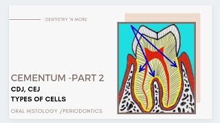 CEMENTUM PART 2