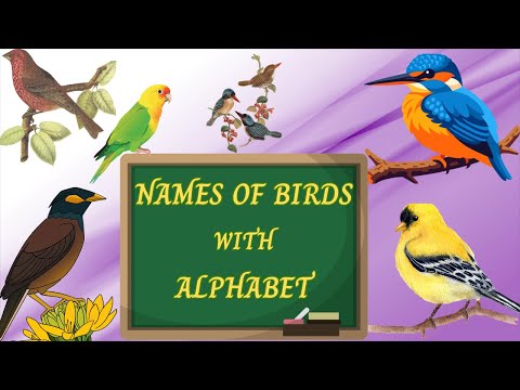 Birds names with alphabet | Names of birds for kids | kids learning world