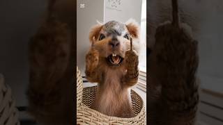 piu piu#funny video#latest2025 #shano #aniashorts #viralshort #maazfamily #trendingshorts