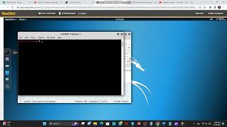 10.3.9 Perform a DoS Attack
