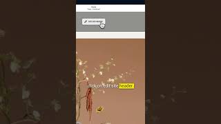 How to Change Header Layout on Squarespace