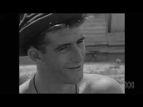 The agony of Vietnam