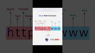 Basic Web Concepts #webcontent #shorts #website #developer