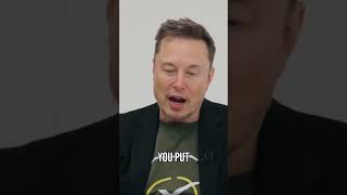 Elon Musk Unpacking Asylum Impact: Voting Power in Swing States