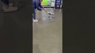 #robot #toys #robotics #technology #robodog #petrobot