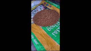 PAN MASALA TOBACCO KAISE BANTA HAI JANIYE IS VIDEO ME !